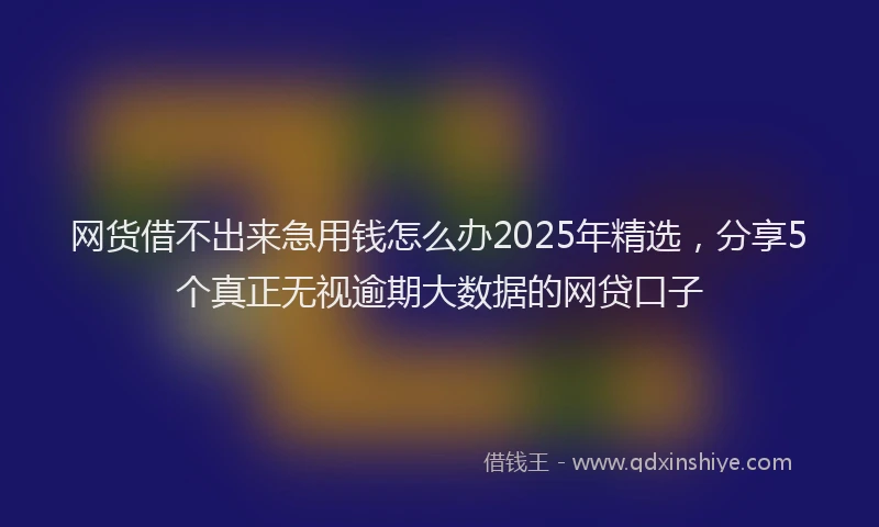 网货借不出来急用钱怎么办2025年精选，分享5个真正无视逾期大数据的网贷口子