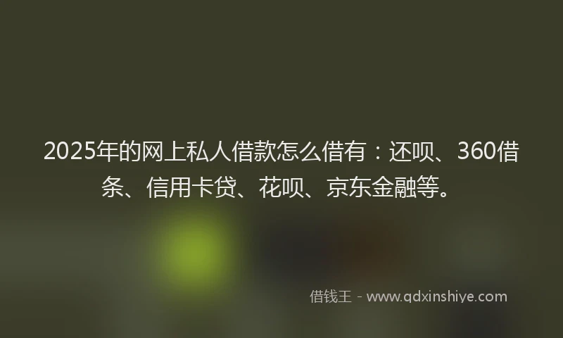 2025年的网上私人借款怎么借有：还呗、360借条、信用卡贷、花呗、京东金融等。