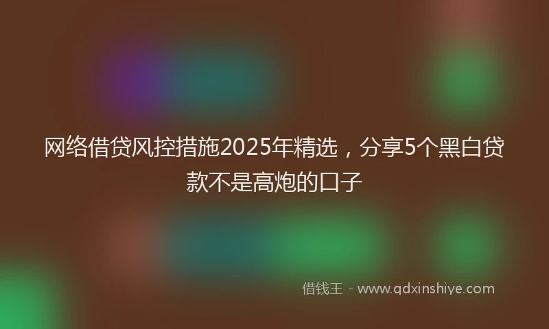 网络借贷风控措施2025年精选，分享5个黑白贷款不是高炮的口子