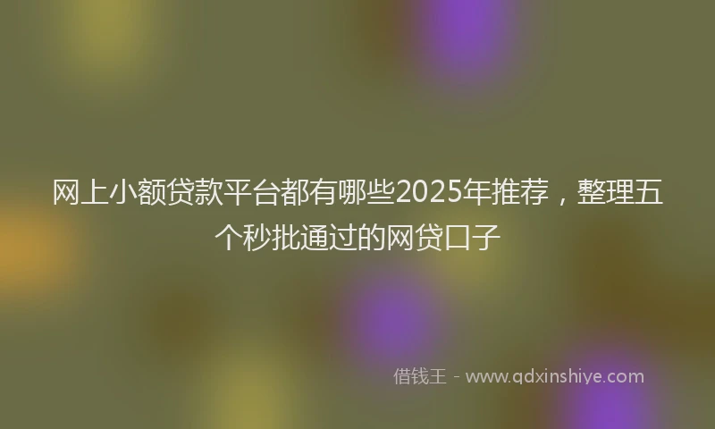 网上小额贷款平台都有哪些2025年推荐，整理五个秒批通过的网贷口子