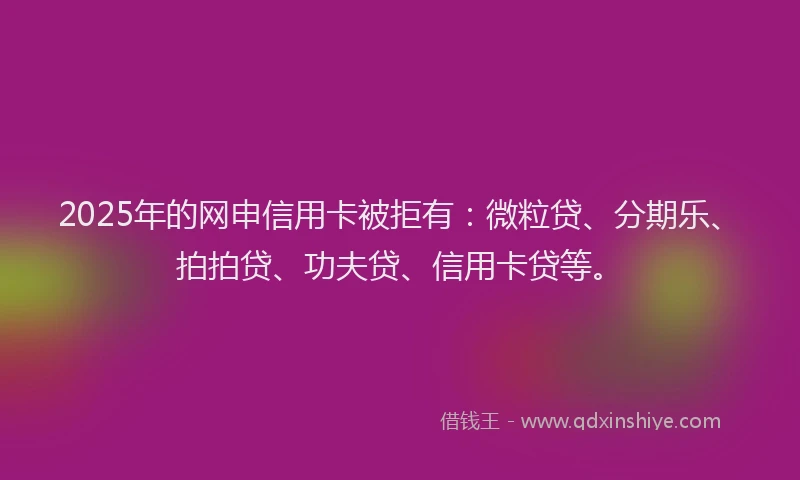 2025年的网申信用卡被拒有：微粒贷、分期乐、拍拍贷、功夫贷、信用卡贷等。