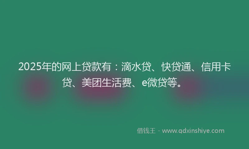 2025年的网上贷款有：滴水贷、快贷通、信用卡贷、美团生活费、e微贷等。