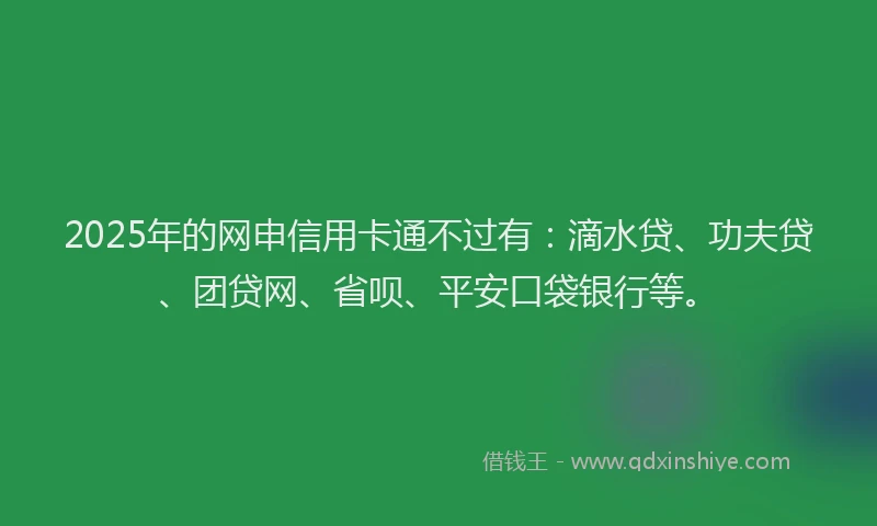 2025年的网申信用卡通不过有：滴水贷、功夫贷、团贷网、省呗、平安口袋银行等。