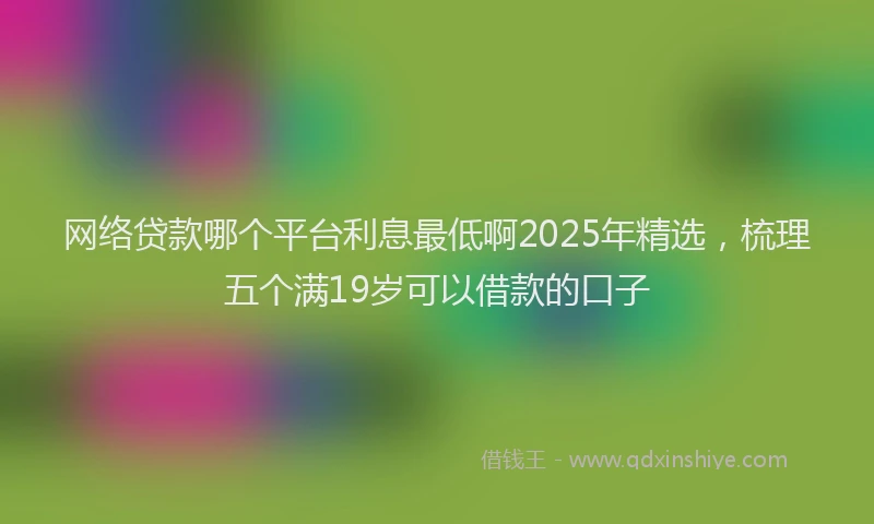 网络贷款哪个平台利息最低啊2025年精选，梳理五个满19岁可以借款的口子