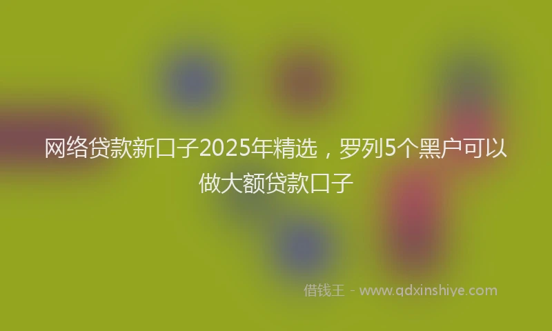 网络贷款新口子2025年精选，罗列5个黑户可以做大额贷款口子