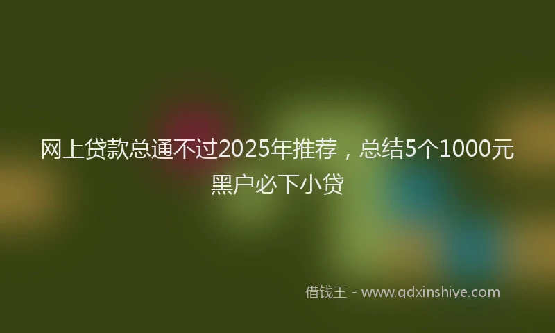 网上贷款总通不过2025年推荐，总结5个1000元黑户必下小贷