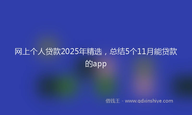 网上个人贷款2025年精选，总结5个11月能贷款的app