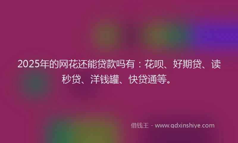 2025年的网花还能贷款吗有：花呗、好期贷、读秒贷、洋钱罐、快贷通等。
