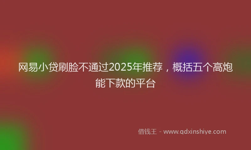 网易小贷刷脸不通过2025年推荐，概括五个高炮能下款的平台