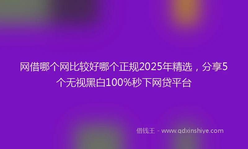 网借哪个网比较好哪个正规2025年精选，分享5个无视黑白100%秒下网贷平台