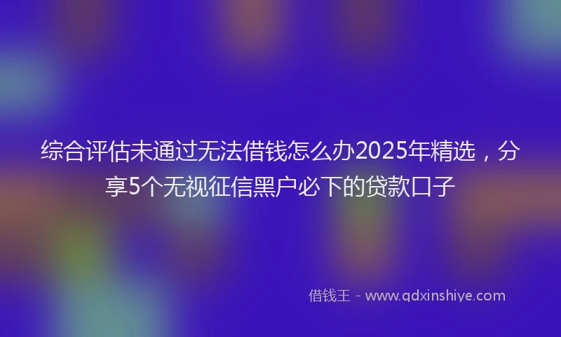 综合评估未通过无法借钱怎么办2025年精选，分享5个无视征信黑户必下的贷款口子