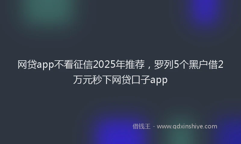 网贷app不看征信2025年推荐，罗列5个黑户借2万元秒下网贷口子app