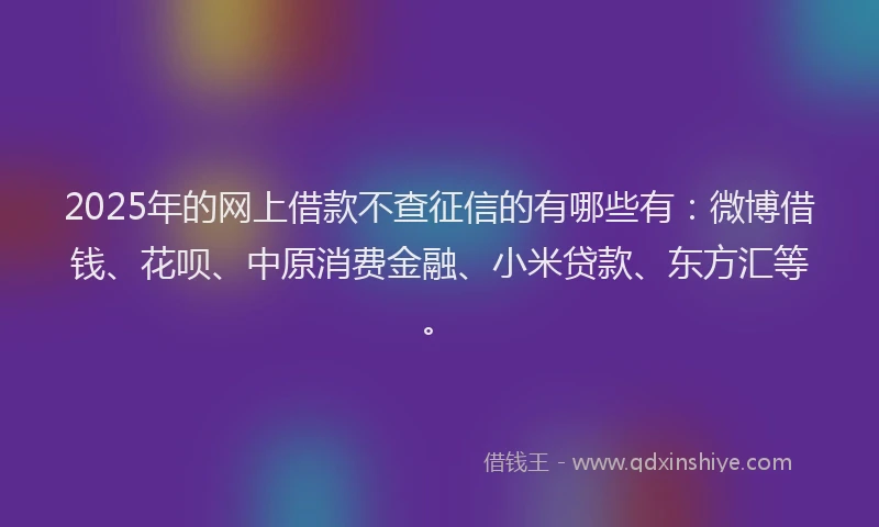 2025年的网上借款不查征信的有哪些有：微博借钱、花呗、中原消费金融、小米贷款、东方汇等。