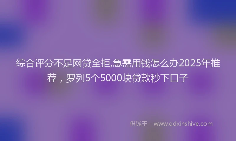 综合评分不足网贷全拒,急需用钱怎么办2025年推荐，罗列5个5000块贷款秒下口子