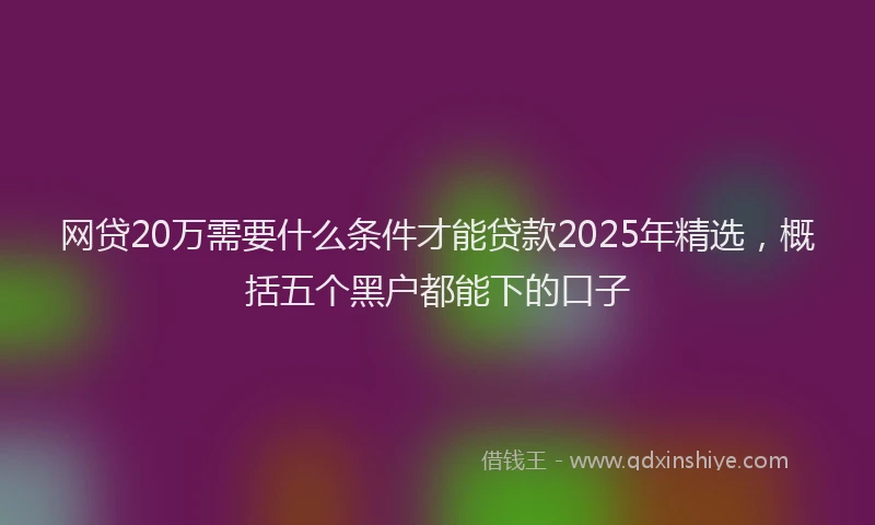 网贷20万需要什么条件才能贷款2025年精选，概括五个黑户都能下的口子
