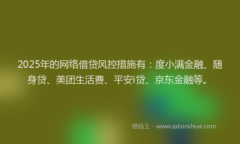 2025年的网络借贷风控措施有：度小满金融、随身贷、美团生活费、平安i贷、京东金融等。