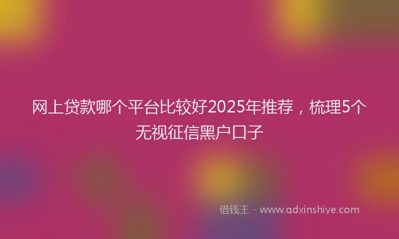 网上贷款哪个平台比较好2025年推荐，梳理5个无视征信黑户口子