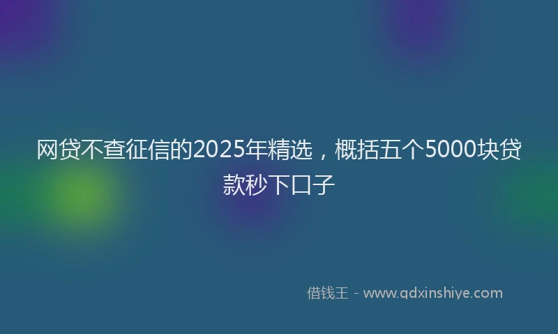 网贷不查征信的2025年精选，概括五个5000块贷款秒下口子