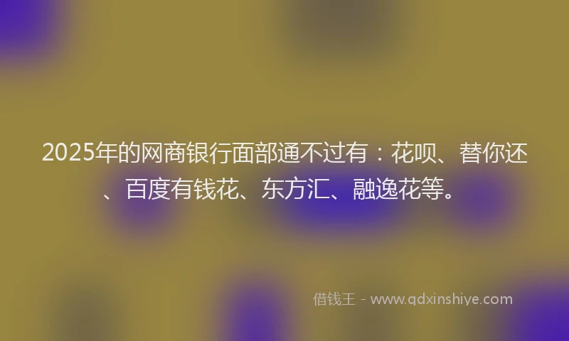 2025年的网商银行面部通不过有：花呗、替你还、百度有钱花、东方汇、融逸花等。
