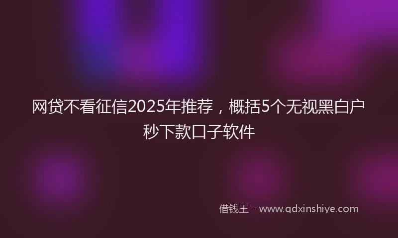 网贷不看征信2025年推荐，概括5个无视黑白户秒下款口子软件