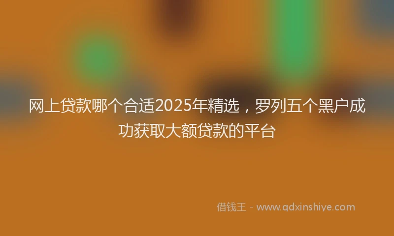 网上贷款哪个合适2025年精选，罗列五个黑户成功获取大额贷款的平台