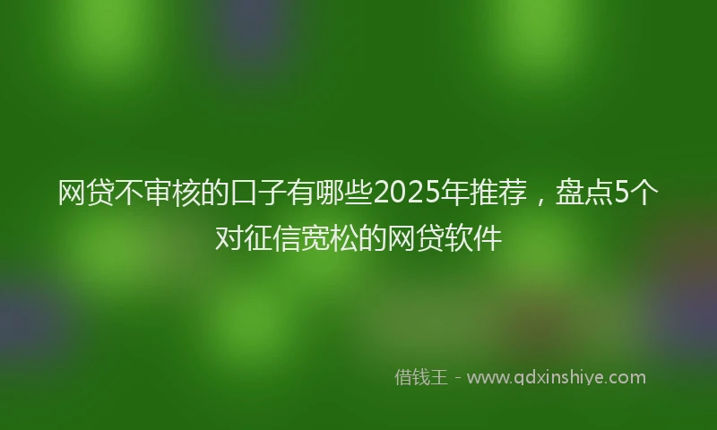 网贷不审核的口子有哪些2025年推荐，盘点5个对征信宽松的网贷软件