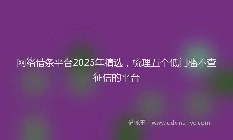 网络借条平台2025年精选，梳理五个低门槛不查征信的平台