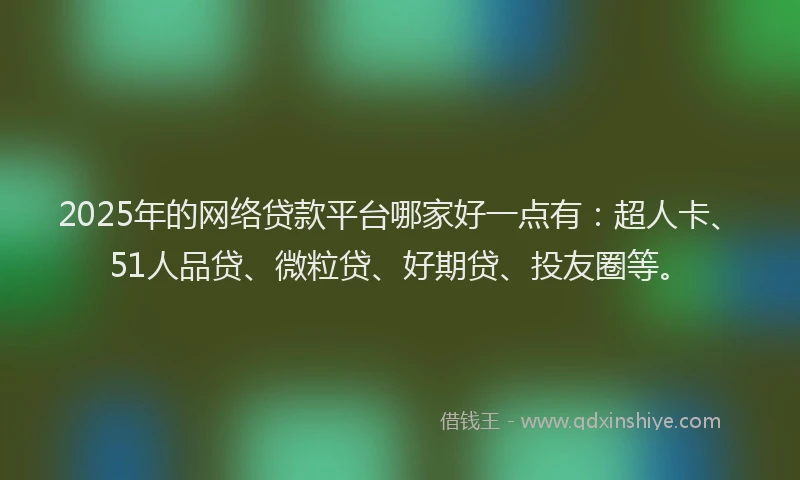 2025年的网络贷款平台哪家好一点有：超人卡、51人品贷、微粒贷、好期贷、投友圈等。