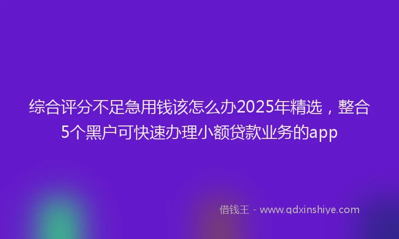 综合评分不足急用钱该怎么办2025年精选，整合5个黑户可快速办理小额贷款业务的app