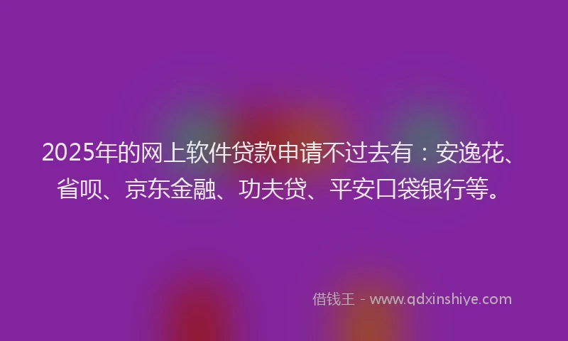 2025年的网上软件贷款申请不过去有：安逸花、省呗、京东金融、功夫贷、平安口袋银行等。