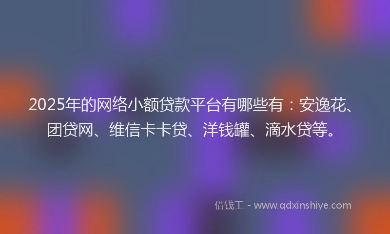 2025年的网络小额贷款平台有哪些有：安逸花、团贷网、维信卡卡贷、洋钱罐、滴水贷等。
