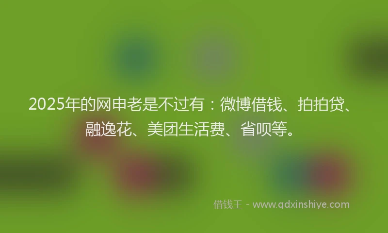 2025年的网申老是不过有：微博借钱、拍拍贷、融逸花、美团生活费、省呗等。