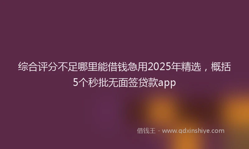 综合评分不足哪里能借钱急用2025年精选，概括5个秒批无面签贷款app