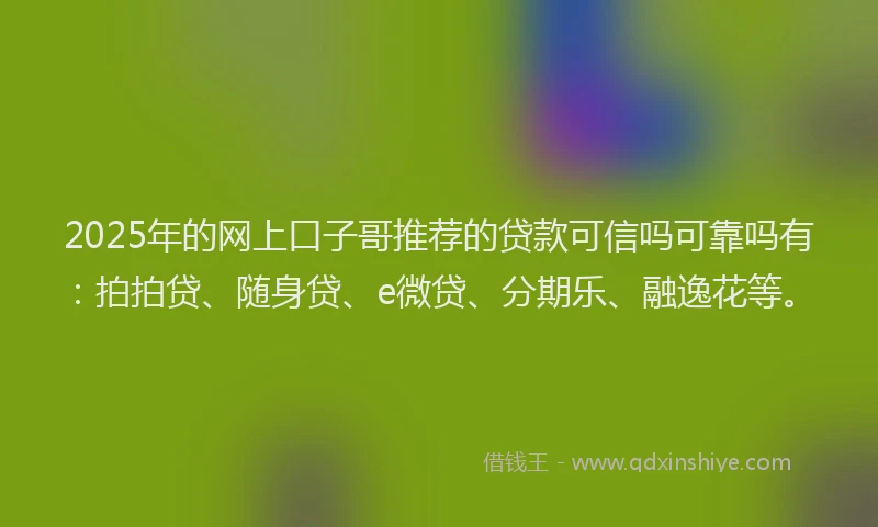 2025年的网上口子哥推荐的贷款可信吗可靠吗有：拍拍贷、随身贷、e微贷、分期乐、融逸花等。