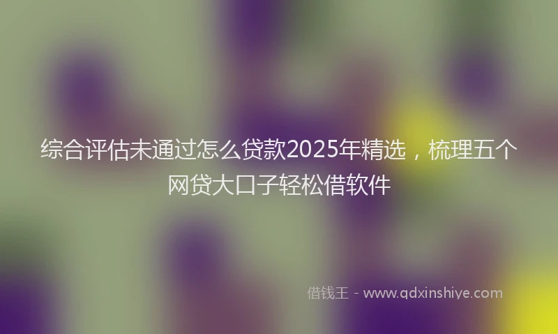 综合评估未通过怎么贷款2025年精选，梳理五个网贷大口子轻松借软件