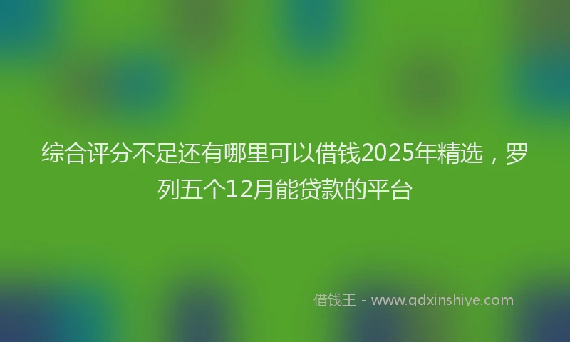 综合评分不足还有哪里可以借钱2025年精选，罗列五个12月能贷款的平台