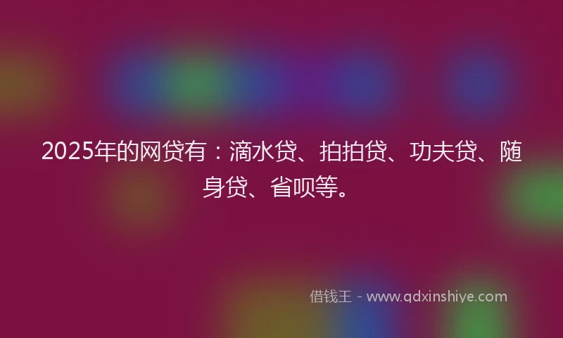 2025年的网贷有：滴水贷、拍拍贷、功夫贷、随身贷、省呗等。