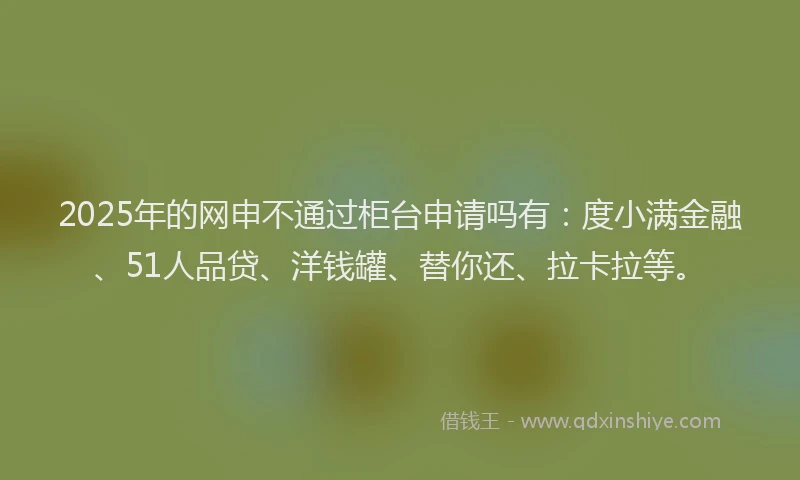 2025年的网申不通过柜台申请吗有：度小满金融、51人品贷、洋钱罐、替你还、拉卡拉等。