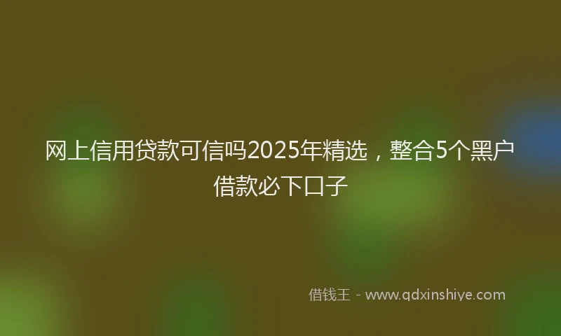 网上信用贷款可信吗2025年精选，整合5个黑户借款必下口子