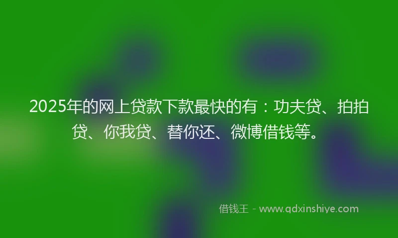 2025年的网上贷款下款最快的有：功夫贷、拍拍贷、你我贷、替你还、微博借钱等。