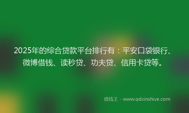 2025年的综合贷款平台排行有：平安口袋银行、微博借钱、读秒贷、功夫贷、信用卡贷等。