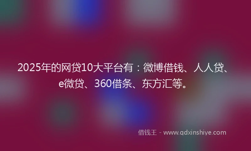 2025年的网贷10大平台有：微博借钱、人人贷、e微贷、360借条、东方汇等。