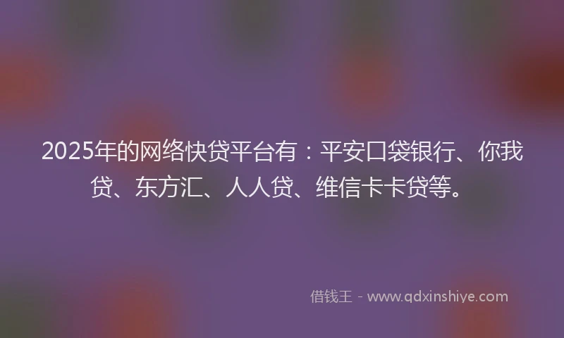 2025年的网络快贷平台有：平安口袋银行、你我贷、东方汇、人人贷、维信卡卡贷等。