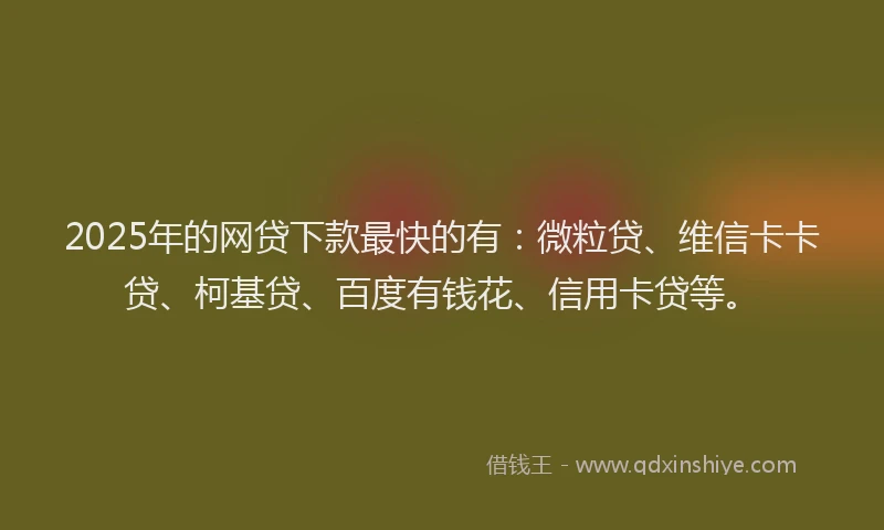 2025年的网贷下款最快的有：微粒贷、维信卡卡贷、柯基贷、百度有钱花、信用卡贷等。