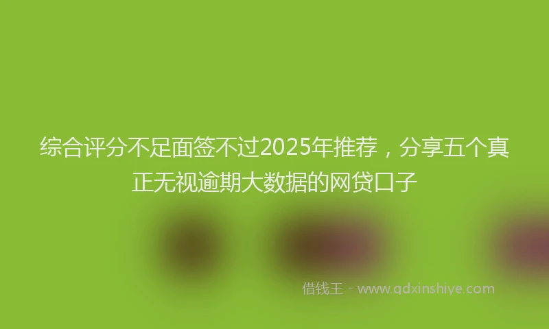综合评分不足面签不过2025年推荐，分享五个真正无视逾期大数据的网贷口子