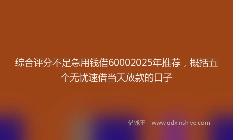综合评分不足急用钱借60002025年推荐，概括五个无忧速借当天放款的口子