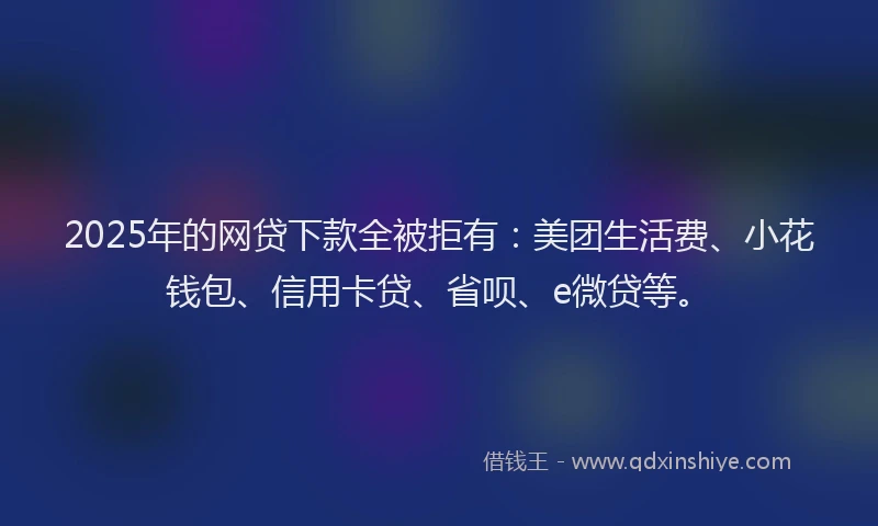 2025年的网贷下款全被拒有：美团生活费、小花钱包、信用卡贷、省呗、e微贷等。