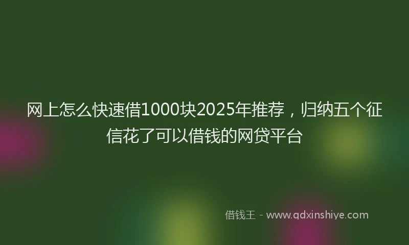 网上怎么快速借1000块2025年推荐，归纳五个征信花了可以借钱的网贷平台