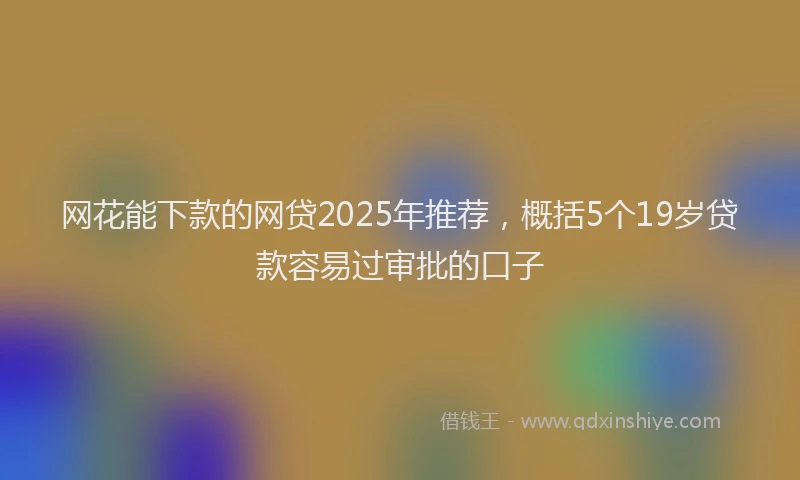 网花能下款的网贷2025年推荐，概括5个19岁贷款容易过审批的口子