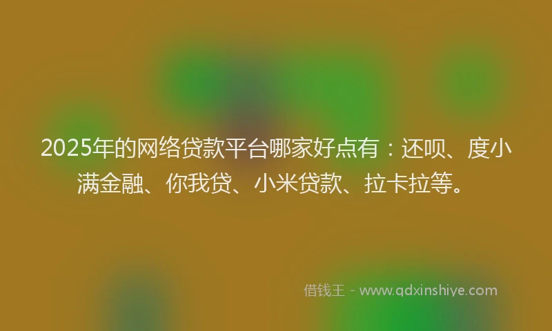 2025年的网络贷款平台哪家好点有：还呗、度小满金融、你我贷、小米贷款、拉卡拉等。